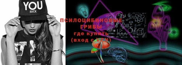 spice Гусь-Хрустальный