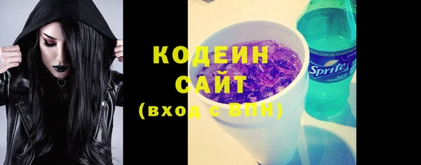 Альфа ПВП Гусев