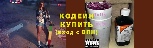 хмурый Дмитровск