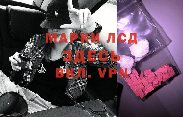 Альфа ПВП Гусев