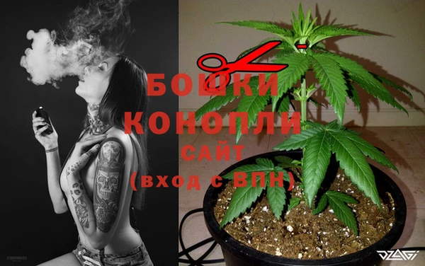 Альфа ПВП Гусев