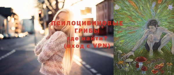 spice Гусь-Хрустальный