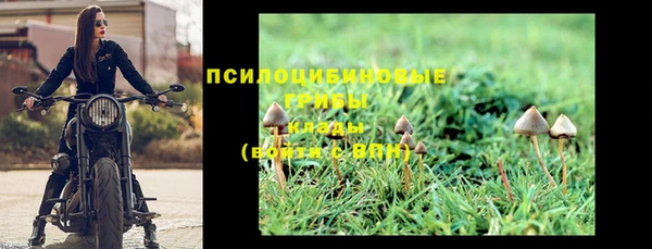 spice Гусь-Хрустальный