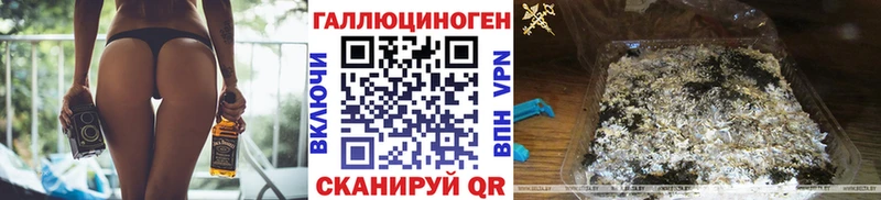 Купить закладки  Майский  Псилоцибиновые грибы GOLDEN TEACHER 